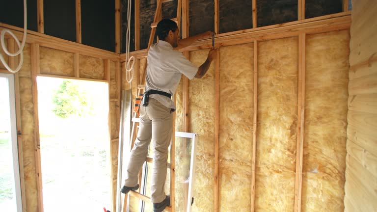 Best Radiant Barrier Insulation  in La Vale, MD